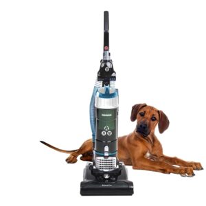 Hoover Breeze Evo Pets Corded Upright Vacuum Cleaner - Lightweight and Compact Design with Long Reach 4.5m Stretch Hose and 7m Power Cord - Bagless 3L Dust Capacity - Powerful...