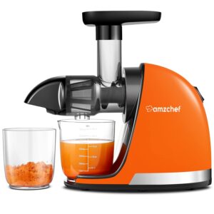 AMZCHEF Juicer Machines - Cold Press Slow Juicer - Masticating Juicer for Whole Fruits and Vegetables - Delicate Chew No Need to Filter - BPA Free Juice Extractor with 2 Cups...