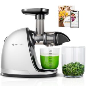 AMZCHEF Juicer Machines - Cold Press Slow Juicer - Masticating Juicer for Whole Fruits and Vegetables - Delicate Chew No Need to Filter - BPA Free Juice Extractor with 2 Cups...