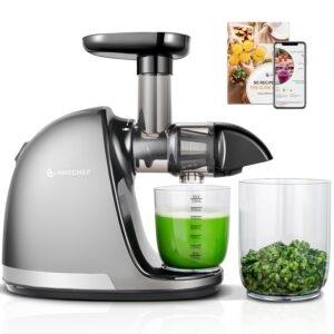 AMZCHEF Juicer Machines - Cold Press Slow Juicer - Masticating Juicer for Whole Fruits and Vegetables - Delicate Chew No Need to Filter - BPA Free Juice Extractor with 2 Cups...