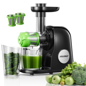 Juicer Machines, HOUSNAT Slow Masticating Juicers Whole Fruit and Vegetable, Professional Cold Press Juicer Extractor with Quiet Motor and Reverse Function Easy to Clean, Brush...