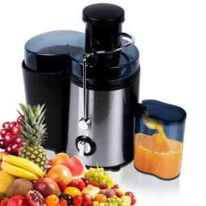 Juicer, 1000W Juicer Machines for Whole Fruit and Vegetable with 3 Modes, Large Feed Chute, Dual Speed Setting,Non-Slip Feet, Easy to Clean