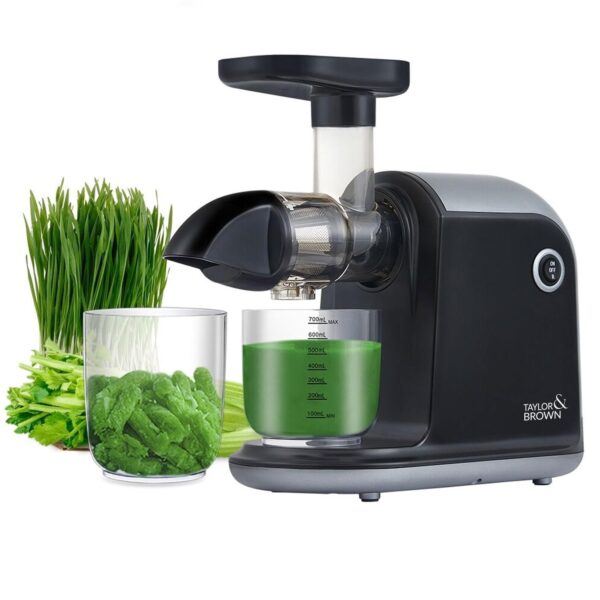 Juicer Machines, TAYLOR & BROWN Slow Masticating Juicers Whole Fruit and Vegetable, Professional Cold Press Juicer Extractor with Quiet Motor and Reverse Function Easy to Clean,...