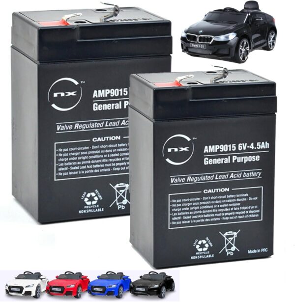 NX Replacement Rechargeable Batteries for Kids Ride-On Audi TT RS Sports Car, Benz SLC 300, Kids Electric Ride-ons Motorcycle Electric Motorbike, BMW 6GT, 2 x 6V-4.5ah