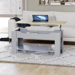 Vida Designs Lift Up Coffee Table With Large Hidden Storage Compartment and Shelf, H 48-60 x L100 x W48 cm (Oak & Grey)
